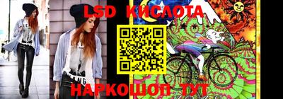гашик Кимры