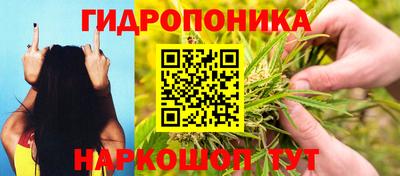 MESCALINE Кингисепп