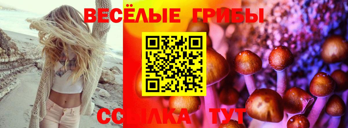 Галлюциногенные грибы GOLDEN TEACHER Курчатов