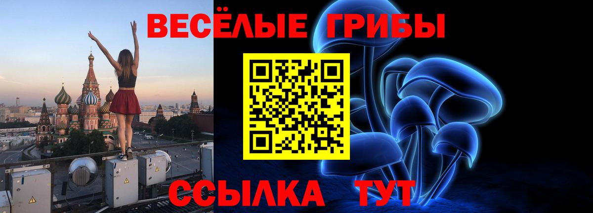 Галлюциногенные грибы Psilocybine cubensis  Вход с VPN  Галлюциногенные грибы MAGIC MUSHROOMS  Курчатов 